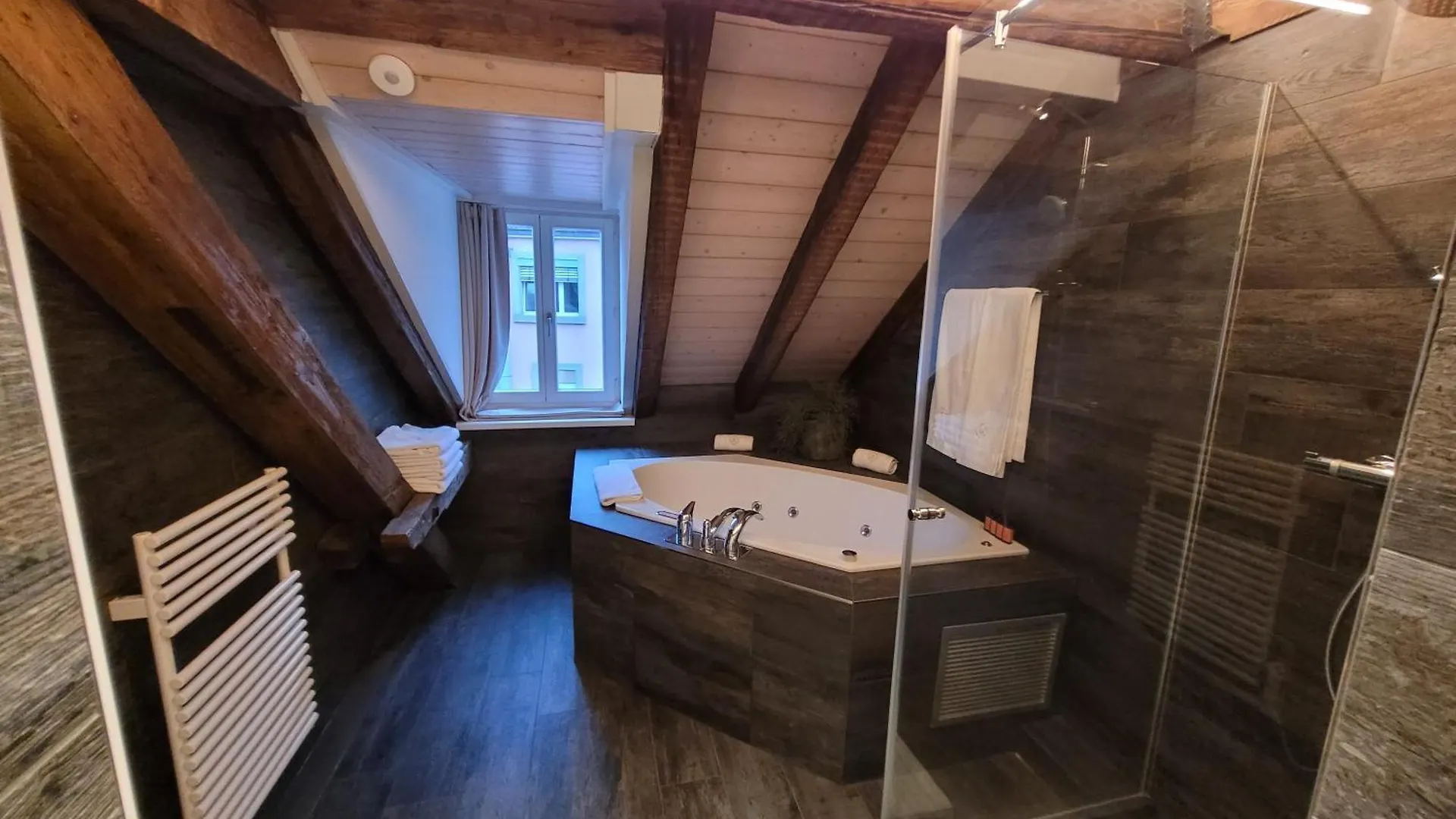 Le Bijou Lintheschergasse / Zurich Hb Appartement