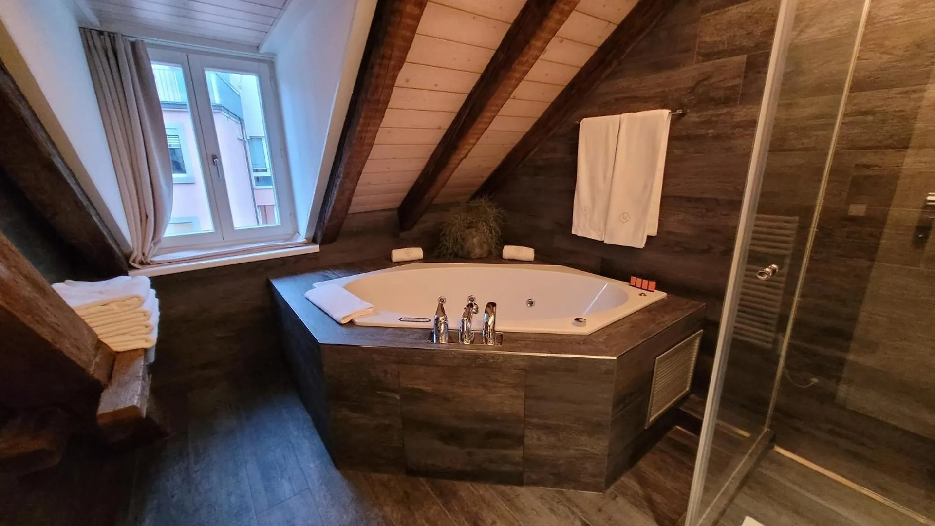 Appartement Le Bijou Lintheschergasse / Zurich Hb Suisse